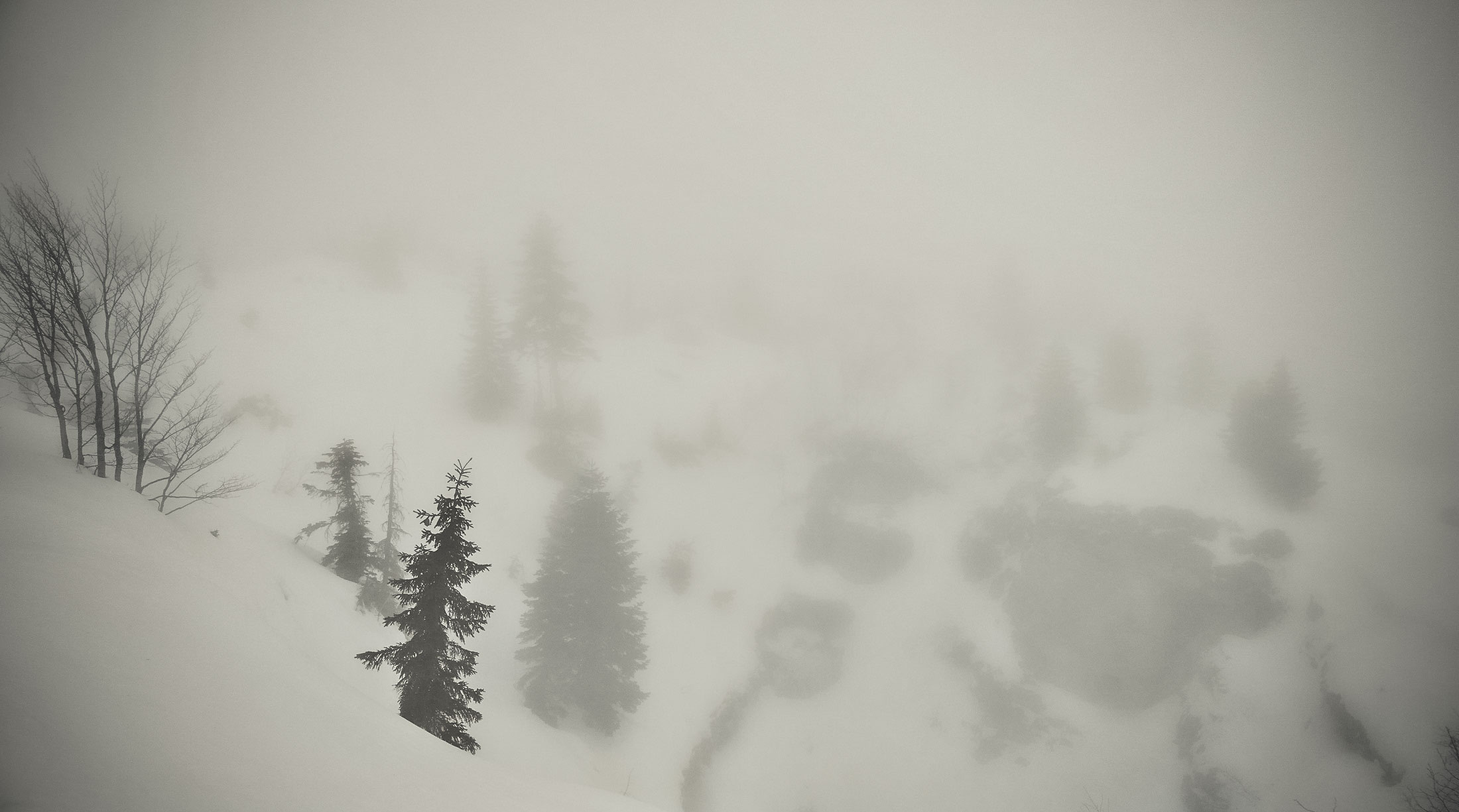 MINIMALISTIC DESIGN FOREVER